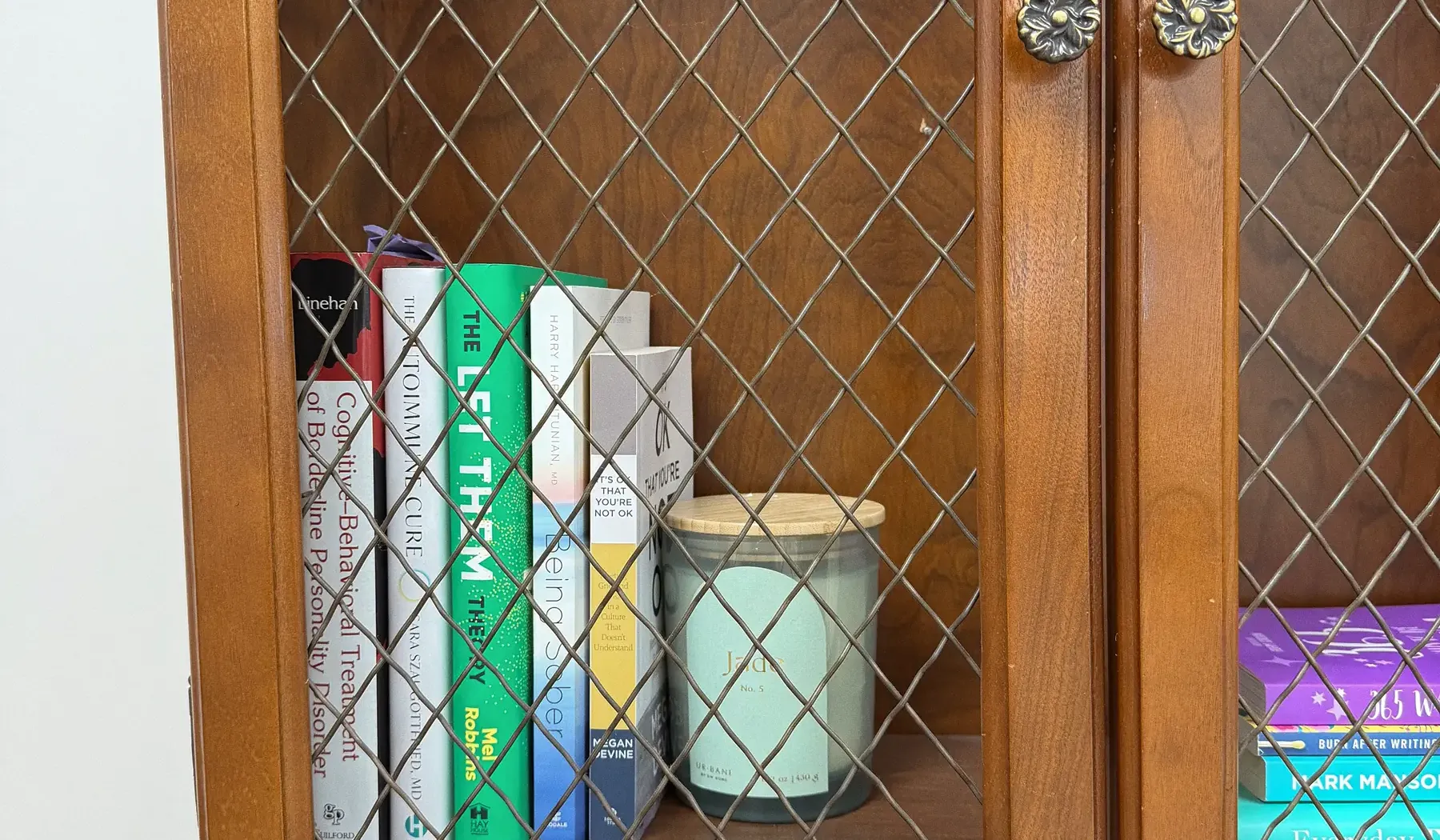 A cabinet of books in the Jade Therapy clinic