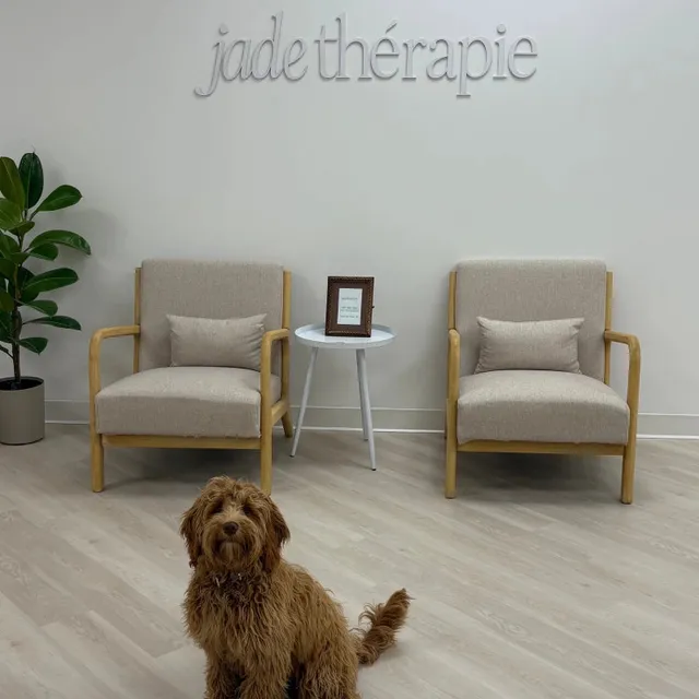 Toda, therapy dog in training